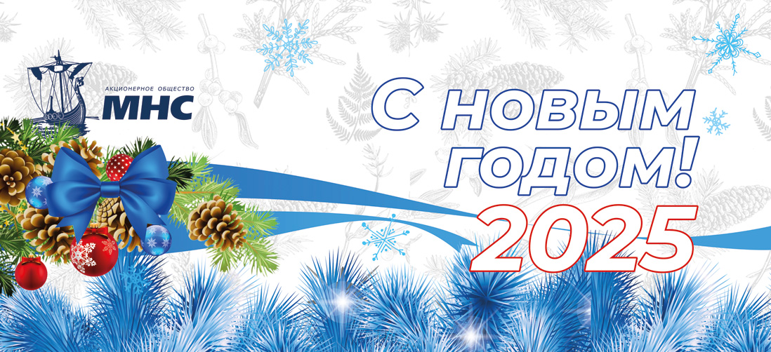 С новым 2025 годом!